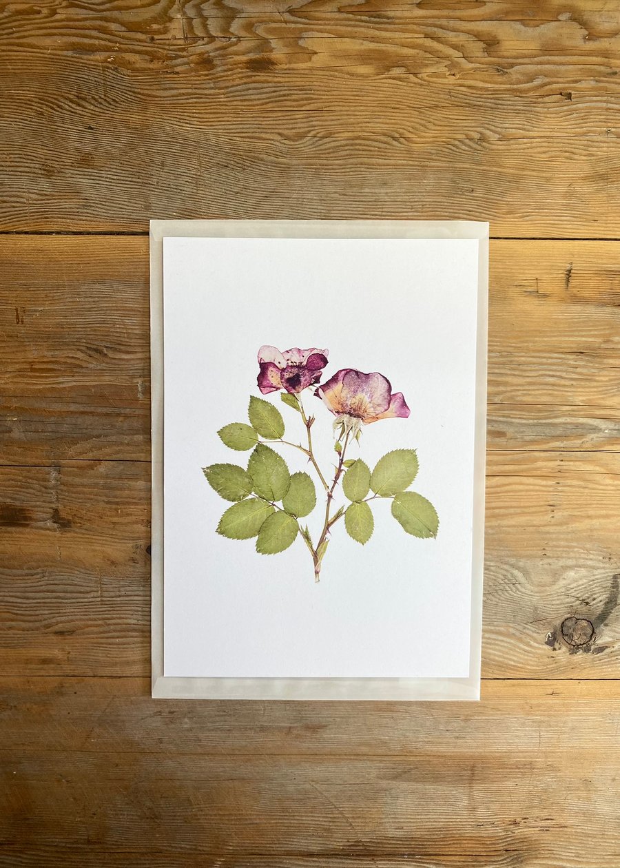 Rose flower art print