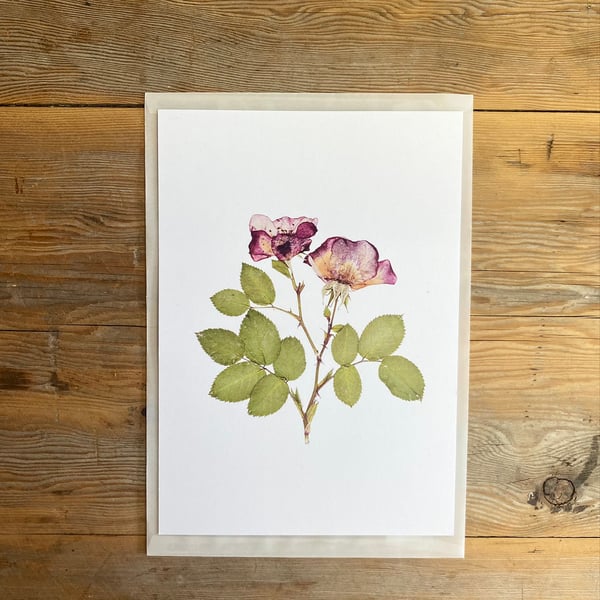 Rose flower art print