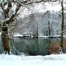 Cannop ponds in the snow. Greeting cards