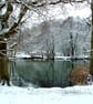 Cannop ponds in the snow