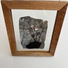 Framed Slate Art Rose Print 23.9 x 28.9cms