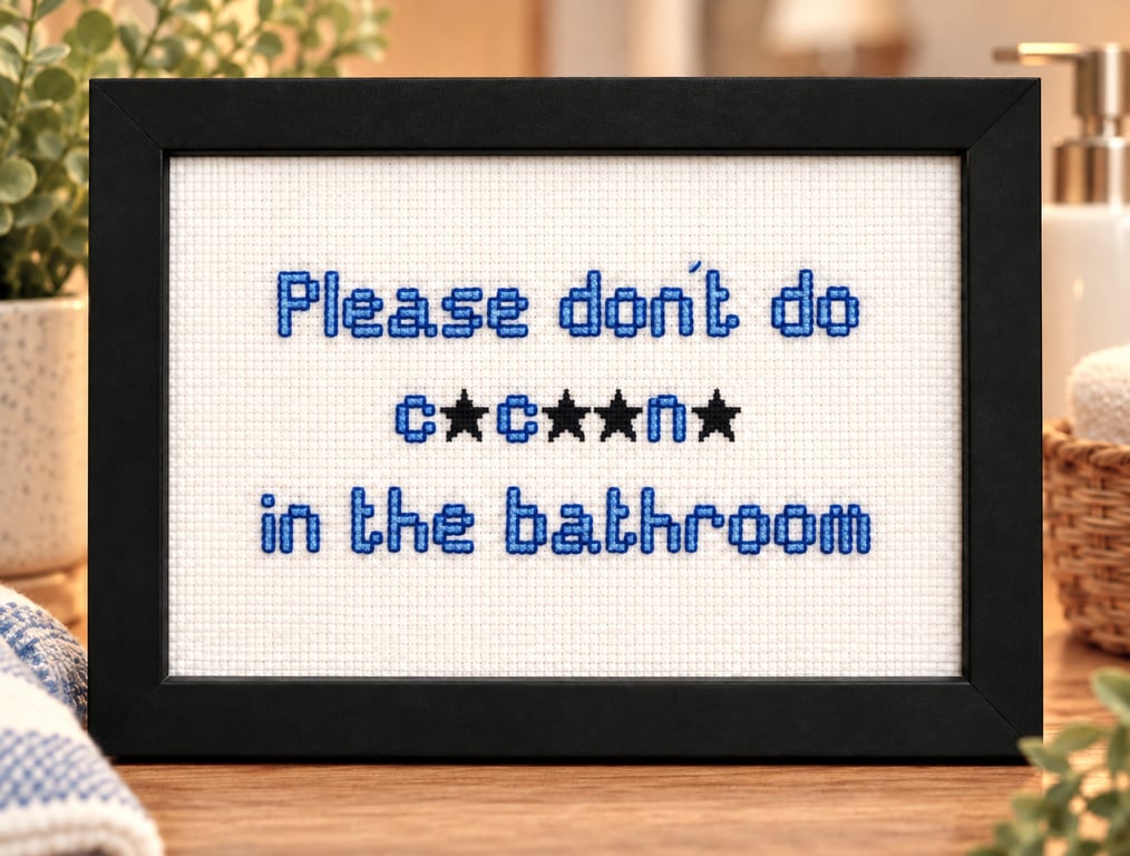 Funny Handmade Framed Cross-Stitch – Please Don't Do C.c..n. in the Bathroom 