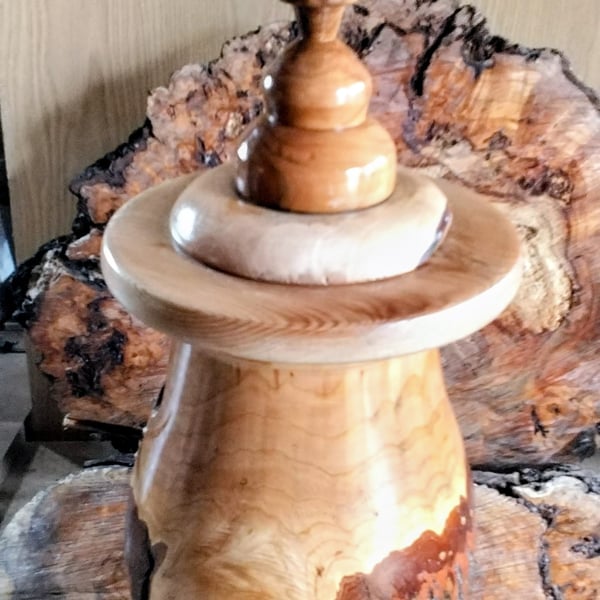 Handturned Bird Nest box 