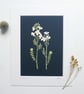 Botanical Papercut - Cuckoo Flower - Original Art - Image 1