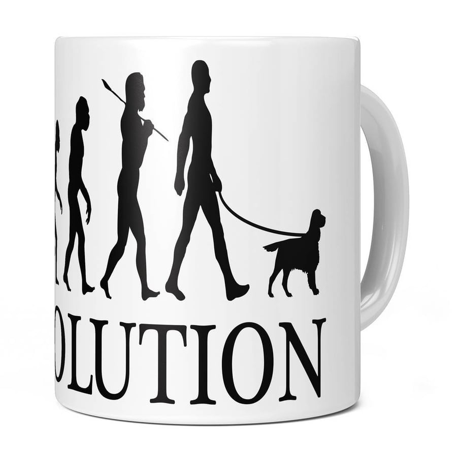 Welsh Springer Spaniel Evolution 11oz Coffee Mug Cup - Perfect Birthday Gift for