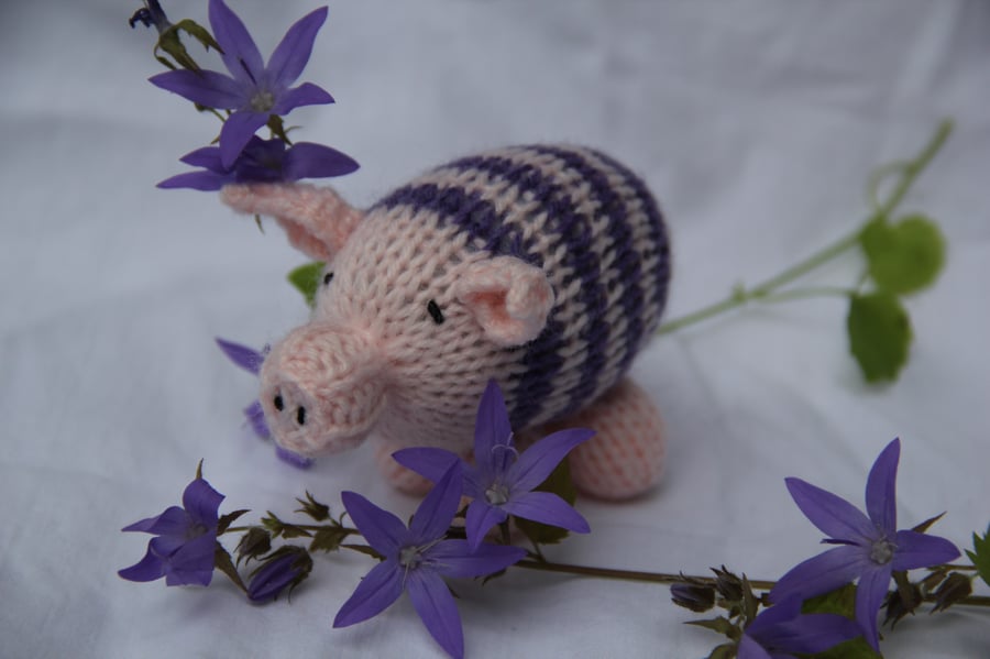 Lilac and Pink Jazzy Pig