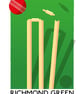 RICHMOND GREEN CRICKET A3 Print - Image 4