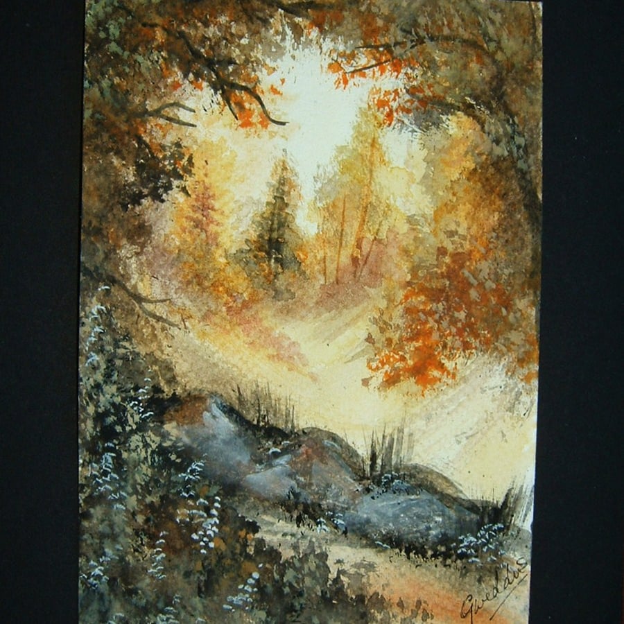 Autumn trees woodland view postcard 4x6 SFA original landscape ref 173