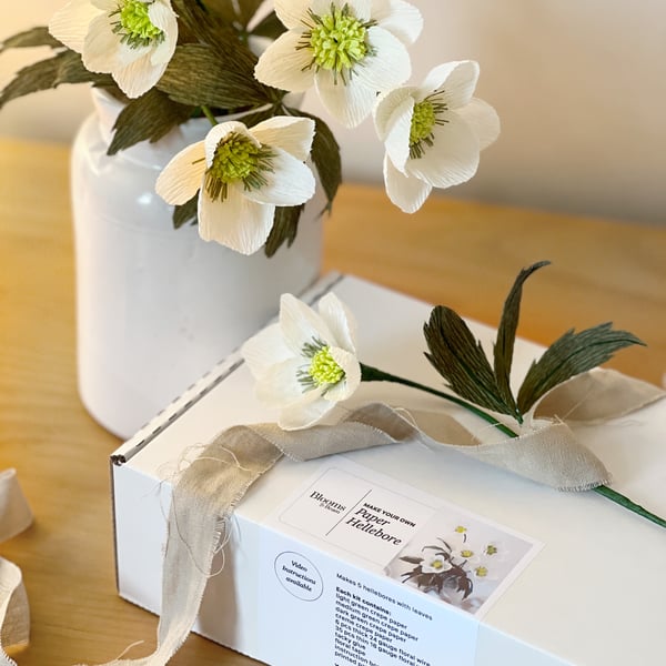 Make Your Own Paper Hellebores