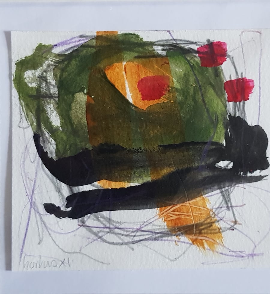 Hortus XI Garden study