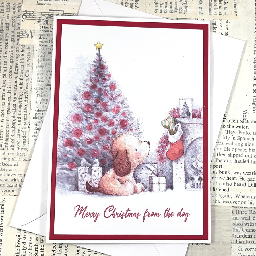 Merry Christmas from the dog