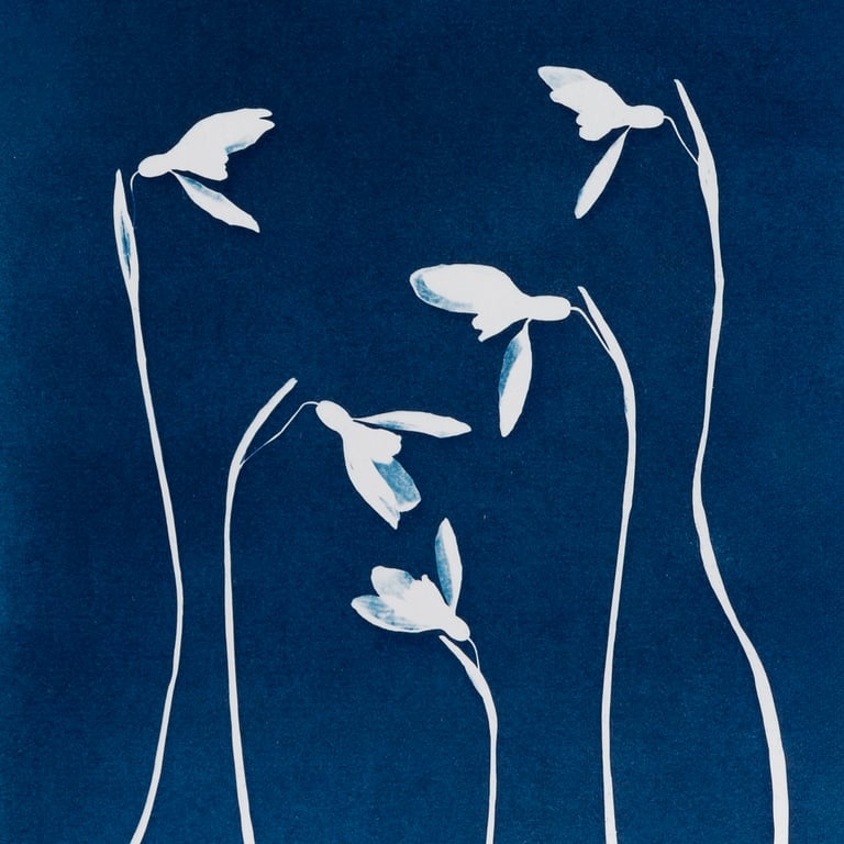 Snowdrops Cyanotype Card
