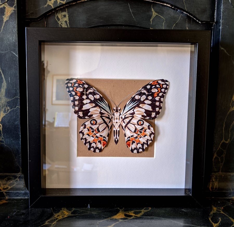 Butterfly Box One-Off