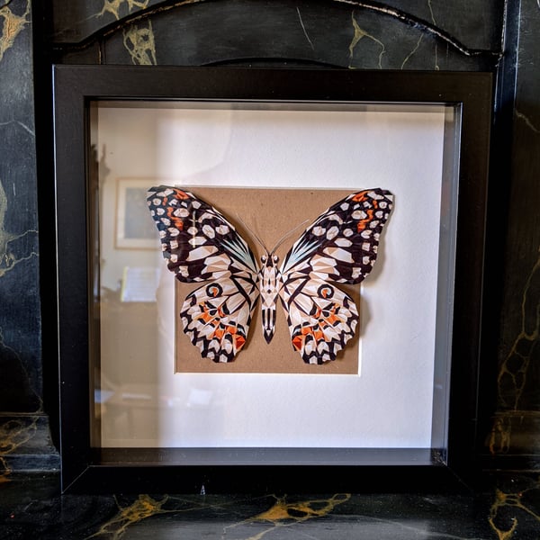 Butterfly Box One-Off