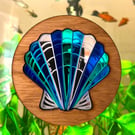 Shell Coaster