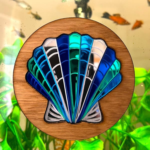 Shell Coaster