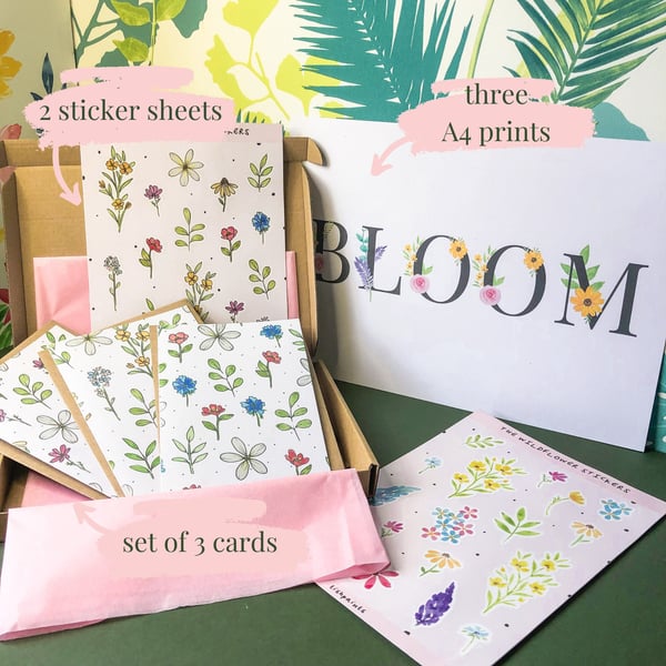 Wildflower Bundle Gift Set Eco Friendly Letterbox Gift Wall Art, Home Decor, Gre