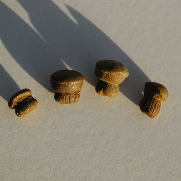 Natural pyrite mushrooms