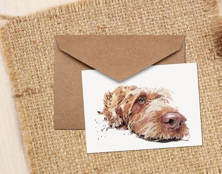 Wirehaired Vizsla NoteGreeting Card.Wirehaired Vizsla cards,Wirehaired Vizsla ca