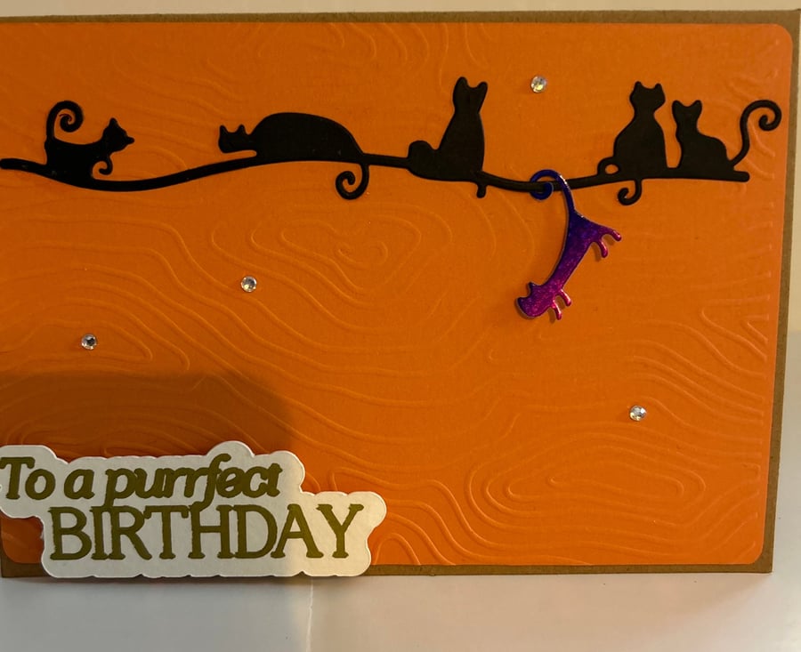 Handcrafted playful cats kittens birthday card gift friend celebration
