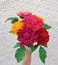 Dahlia - Image 1