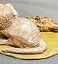 Single Meerkat and Log - Image 4