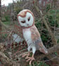 Needle felt owl, collectable animal sculpture ornament or decoration - Barn Owl - Image 8