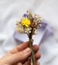 Dried Flower Rustic Mini Posies in a Lilac Gift Box - Image 1