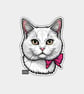 Funny Vinyl Sticker For Adults - White Cat