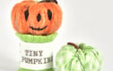 Pumpkins 