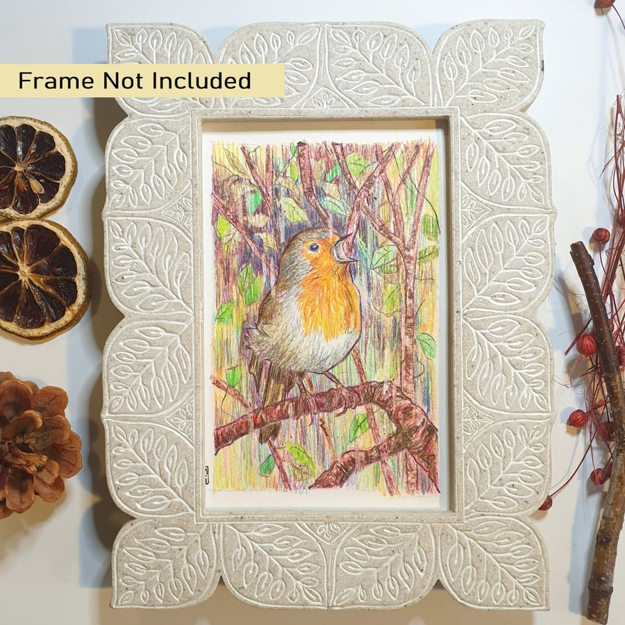 Singing Robin original drawing, letterbox art gift, small artwork, wall art
