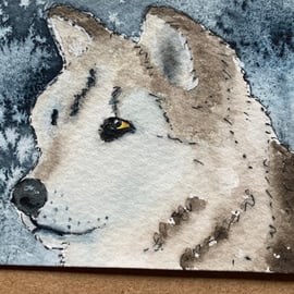 Watercolour of a Wolf ACEO - free UK postage 