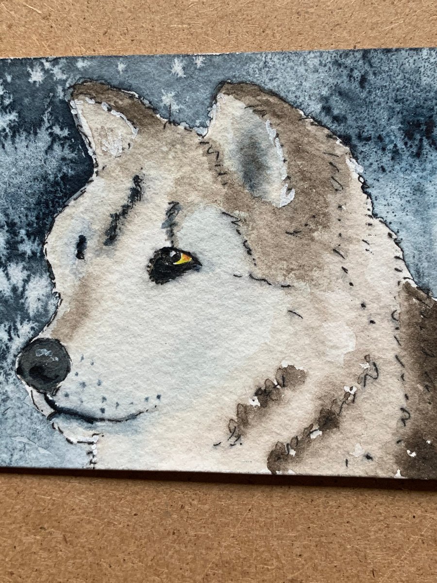 Watercolour of a Wolf ACEO - free UK postage 
