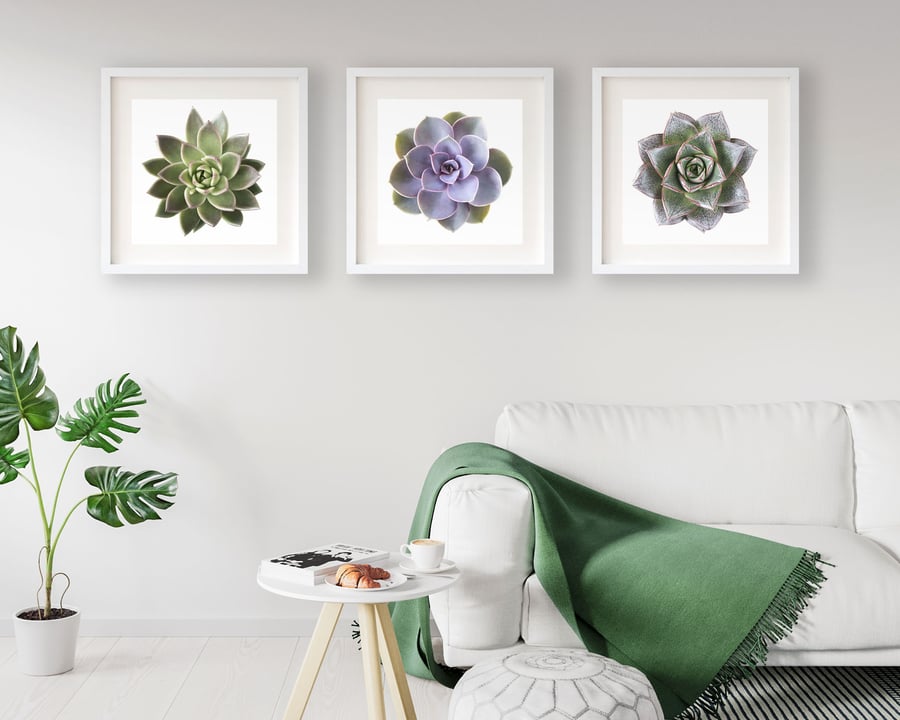 Set of three succulent prints - Plant wall art - Simple nordic style decor