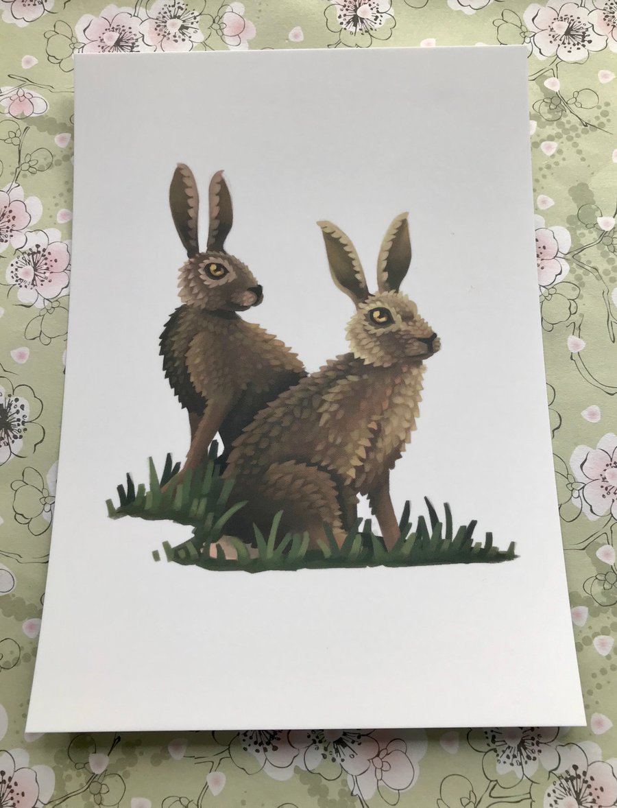 Hares Post Card