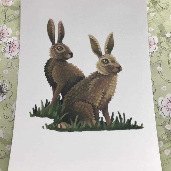 Hares Post Card