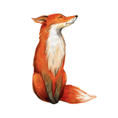 Aubergine Fox