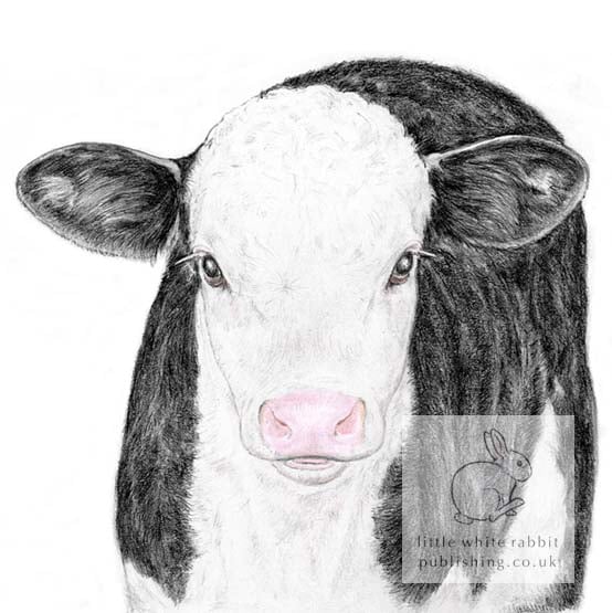 Black & White Calf - Blank Card