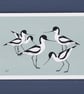 Avocets - bird art print - Image 3