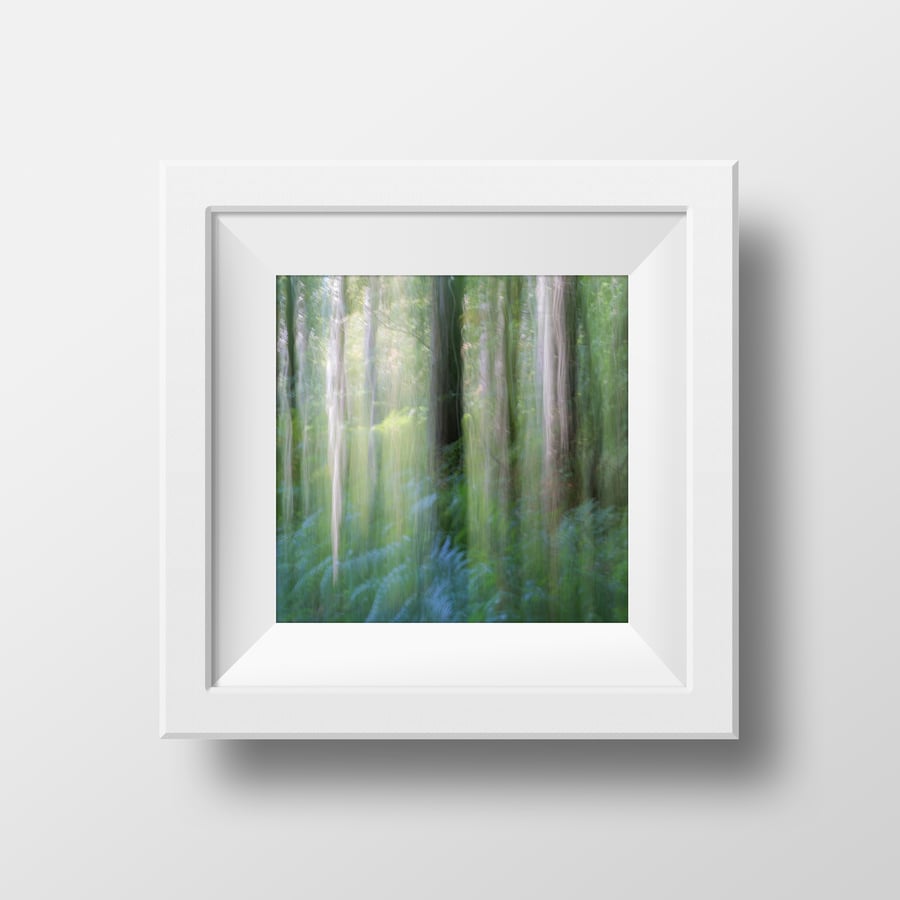 Blue Forest - Fine Art Photography Print