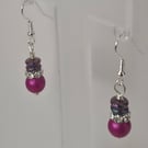 Plum and Crystal Shine Earrings 