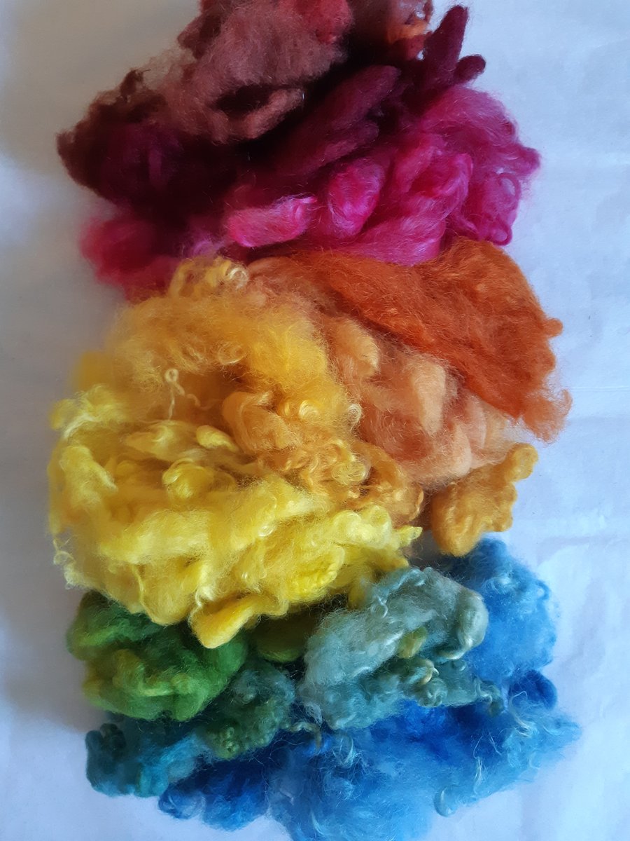 Plant and cochineal dyed Cotswold fleece 