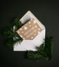 Grow Your Own Christmas Tree Seed Packet - Image 1