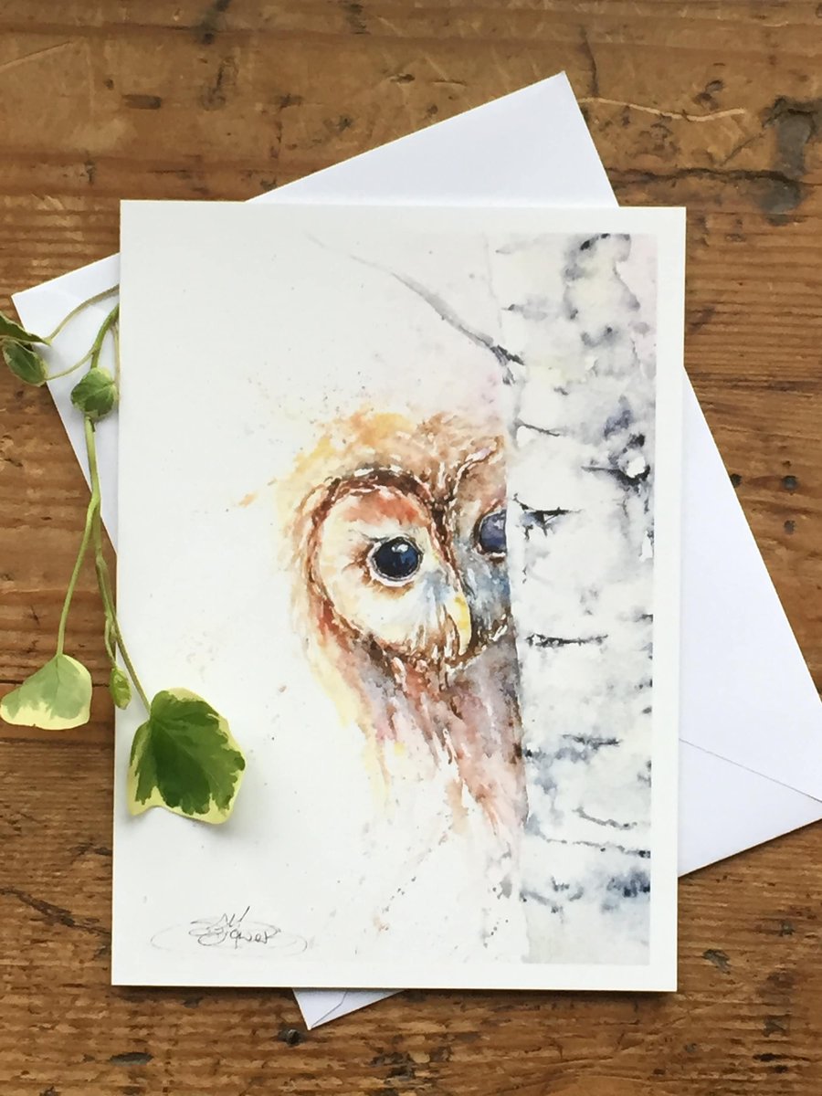 Tawny Owl Card, A5 blank greeting card with a watercolour tawny owl