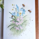 Bluebell card