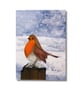 Winter Robin Greeting Card – 7x5" Personalised Optional