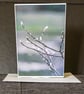 Greetings Card (Pussy Willow) Blank Inside - Image 1