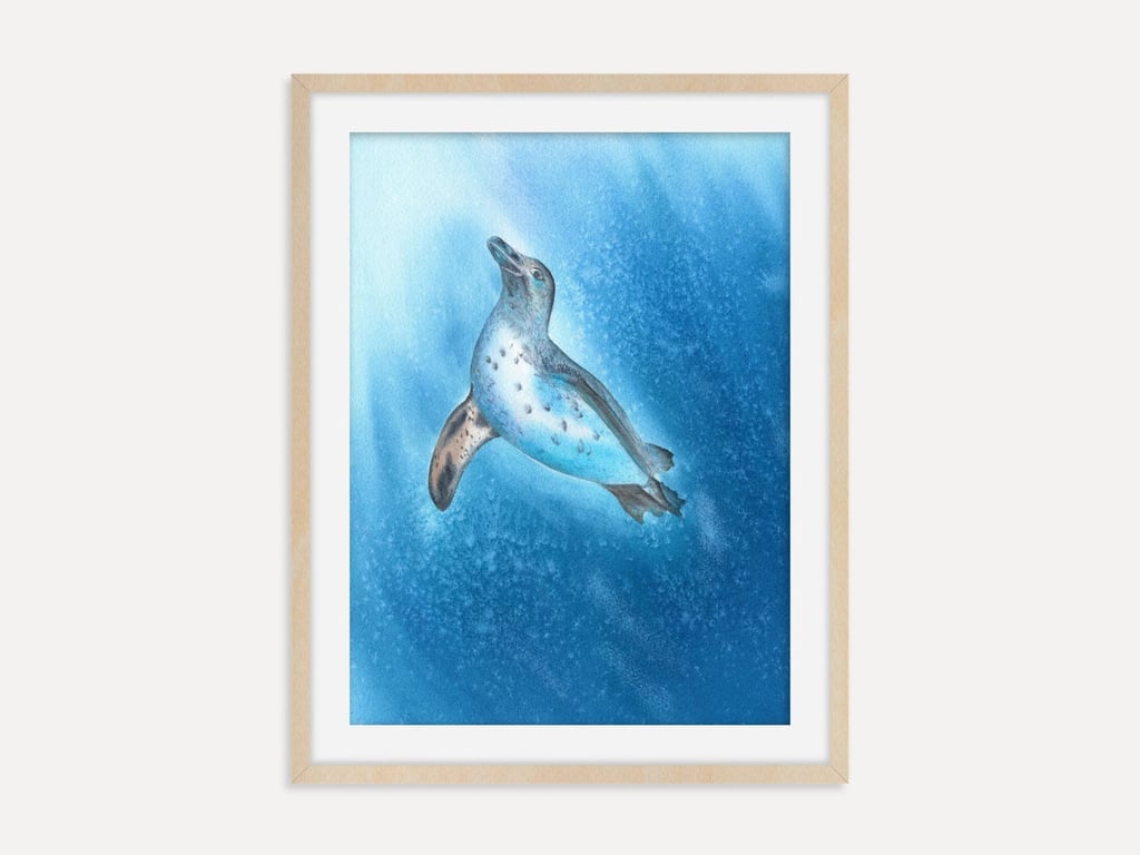 Galapagos Penguin Art Print, Penguin Wall Art, Wildlife Poster, Nature Gift