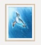 Galapagos Penguin Art Print, Penguin Wall Art, Wildlife Poster, Nature Gift