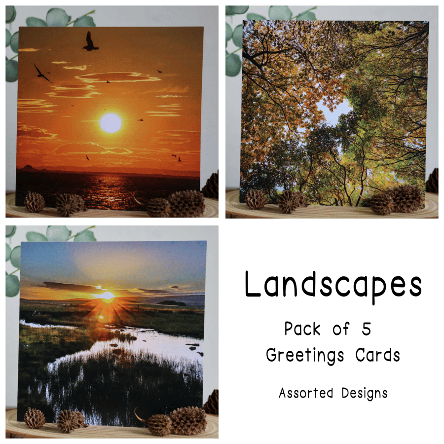 Landscapes - Pack of 5 Greetings Cards - Assorted Designs